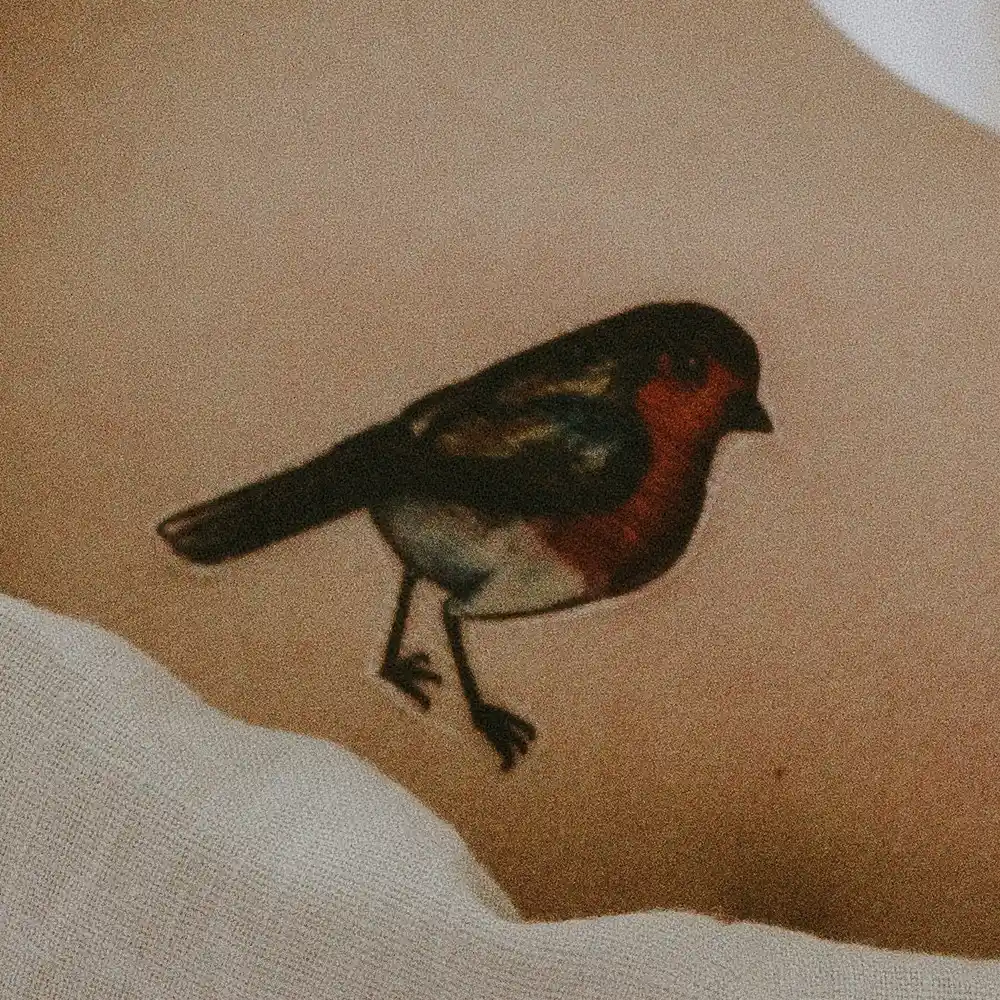 A shaded robin tattoo